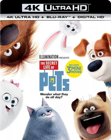 The Secret Life of Pets 4K 2016 Ultra HD 2160p