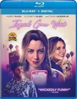 Ingrid Goes West 1080p BluRay REMUX