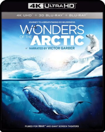 Wonders of the Arctic 4K 2014 DOCU Ultra HD 2160p REMUX