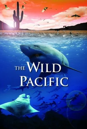 The Wild Pacific 4K (2016) Ultra HD 2160p REMUX