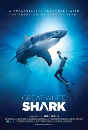 Great White Shark 4K DOCU (2013) Ultra HD 2160p REMUX