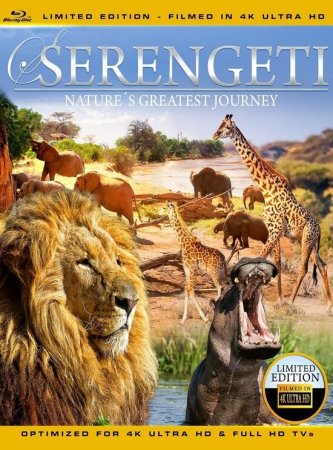 Serengeti Nature's Greatest Journey 4K REMUX 2015 UHD 2160p