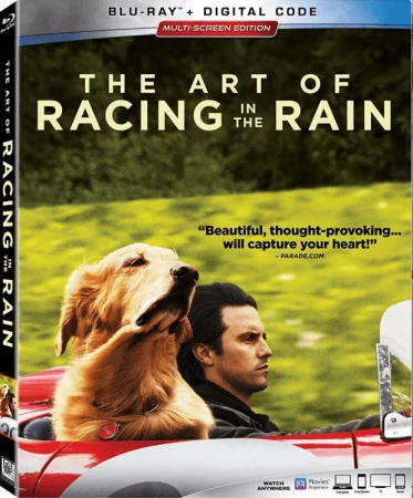 The Art of Racing in the Rain (2019) 1080p REMUX