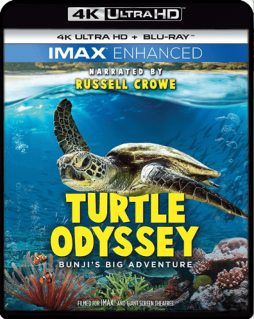 Turtle Odyssey 4K 2019 DOCU Ultra HD 2160p