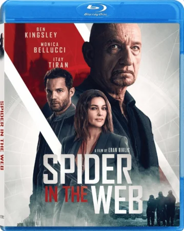 Spider in the Web (2019) 1080p REMUX