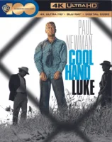 Cool Hand Luke 4K 1967 Ultra HD 2160p