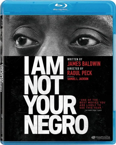I Am Not Your Negro 2016