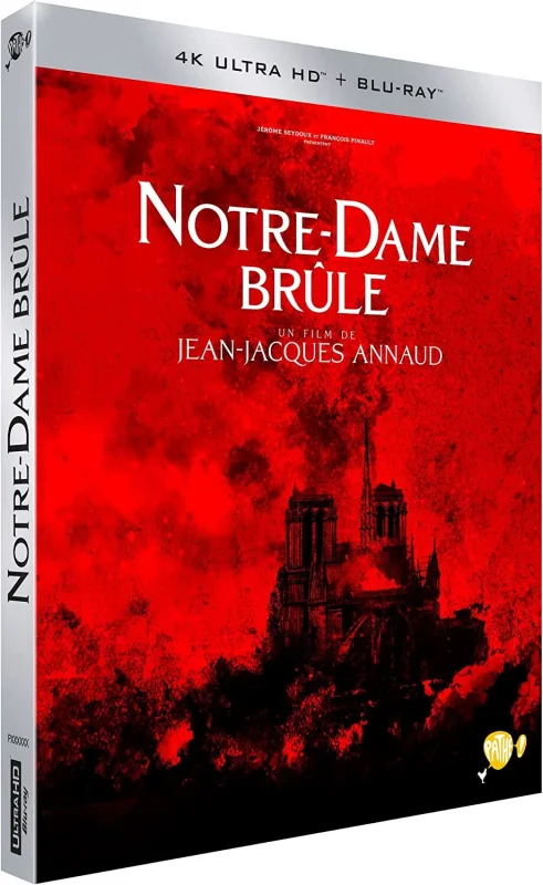 Notre-Dame on Fire 4K 2022 Ultra HD 2160p