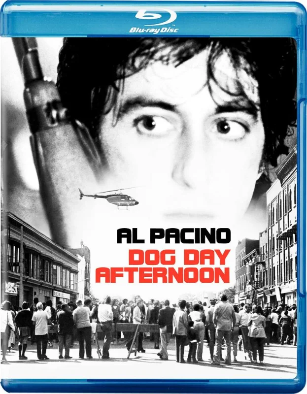 Dog Day Afternoon 1975