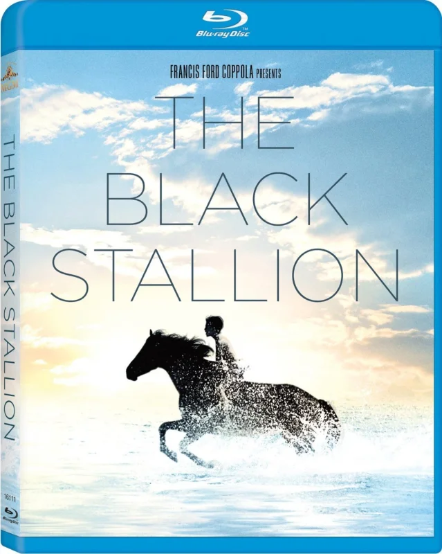 The Black Stallion 1979