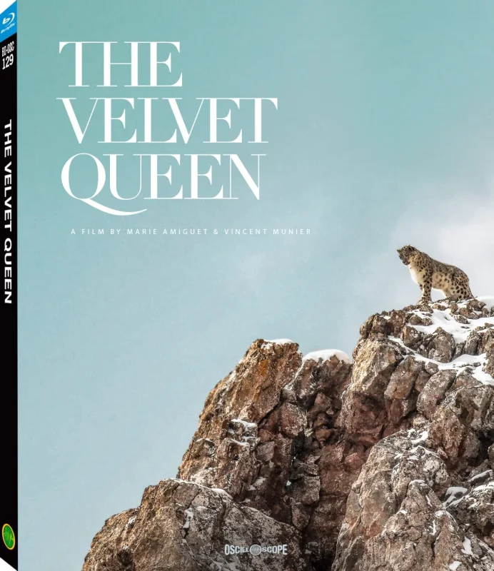 The Velvet Queen 2021